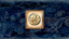 Great Wirebug Medal