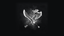 Skilled Combatant
