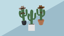 Prickly Posse
