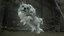 No Dog Left Behind
