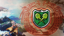 Coordination Shield