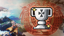 Silver Star Cup