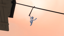 Hook, Line and Jumper