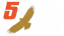 Sand in Your Socks
