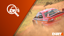 Never Raced or Rallied