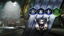 New Hivebusters