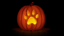 Cryptozoologist