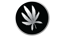 Every Herb Bearing Seed