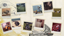 Shutterbug