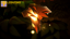 Lionzord