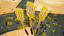 Ultra Spatula Seeker