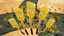 Mega Spatula Seeker