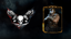 Play and Earn: Classic Golden Gear