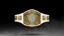 Birth of an IC Champion