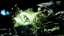 Survival Spinal