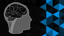 Sanity Check