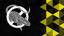 Pest Control