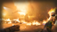 Wild Fire