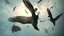 Crow Hunter2