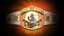 Birth of an IC Champion