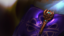 Royal Steward