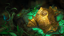 Fortified Regicide