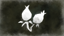 Happy Harvester
