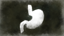 Don't Starve