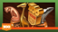 The Zoo Tycoon