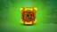 C1 | Koala Konked