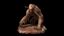 Guardian Ape