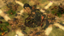 Zombie Plants must die!