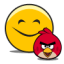 Angry Birds Fan