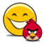 True Angry Birds Fan
