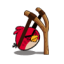 Bird Slinger