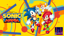 The Most Famous Hedgehog in the World